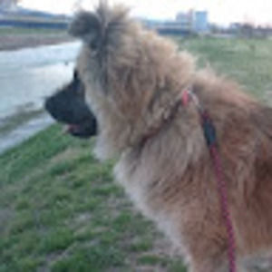 Meet your Posher, Fantom474